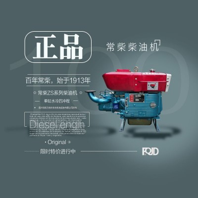 正宗常柴牌單缸柴油機ZS1115，1110，1100手啟動/電啟動
