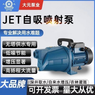 噴射泵家用自來水增壓泵大頭泵耐腐蝕大流量高效高揚(yáng)程220v自吸泵