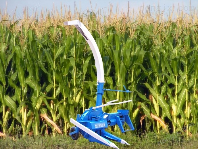 4QS-10型 單行青貯收獲機(jī)