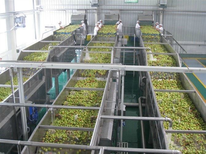 恒立宇 不銹鋼食品級(jí) 芒果汁加工設(shè)備 原漿生產(chǎn)線 1T-10T/H