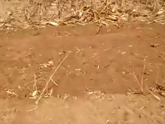 農業機械—旋耕機“切刀式”