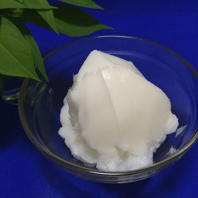 塑膠齒輪降噪脂 同步電機潤滑脂