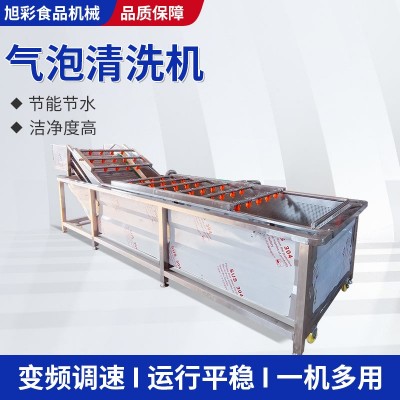 柑橘氣泡清洗機楊梅草莓果蔬噴淋清洗設備圣女果全自動氣泡清洗機