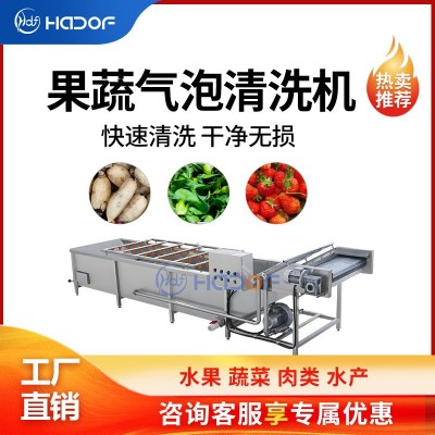 全自動瓜果蔬菜氣泡清洗機不銹鋼噴淋式洗菜機中央廚房凈菜產線