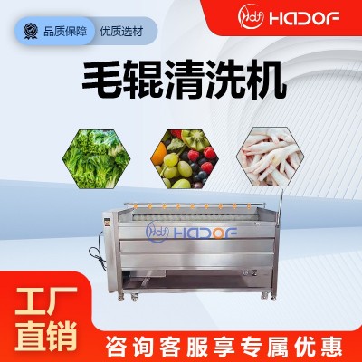 全自動洗姜機山藥馬蹄毛輥清洗機不銹鋼預制菜加工清洗整條產線