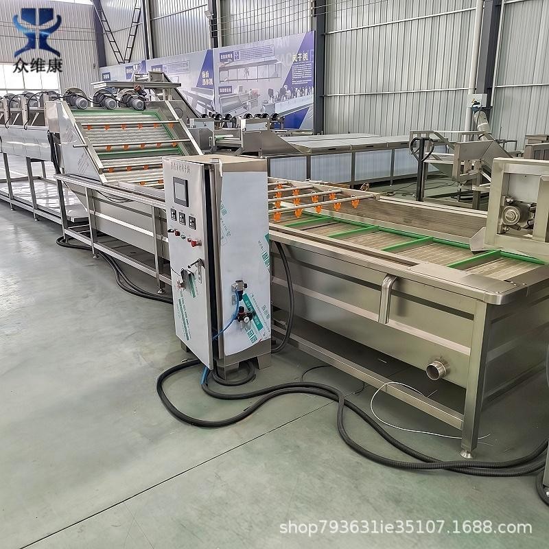 商用果蔬氣泡清洗機大型全自動洗菜機水果蔬菜高壓噴淋清洗設備