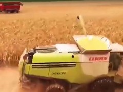 讓農機專家點贊的玉米脫粒機，究竟有多厲害？它的效率有多高？