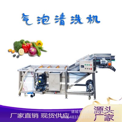 全自動氣泡清洗機蔬菜水果清洗設備 食物洗菜池沖浪式清洗機