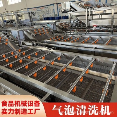 果蔬清洗機 蔬菜生鮮兩用清洗設備 高效節能 氣泡清洗流水線