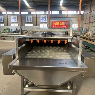 牡蠣清洗機 海鮮魚類清洗線 廠家現(xiàn)供海蠣子去泥毛輥清洗機