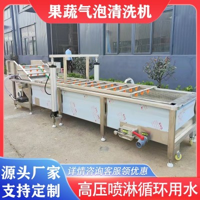 芹菜大蔥氣泡清洗枇杷楊梅鼓浪式清洗機黃芪人參去泥沙清洗設(shè)備