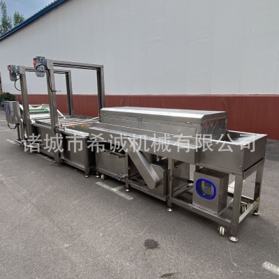 芒果毛桃橙子氣泡清洗機 藍莓荔枝清洗風干設備 多功能果蔬清洗機