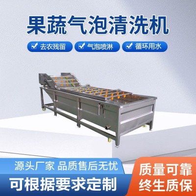 商用蔬菜氣泡清洗機 辣椒氣泡清洗機 山野菜蒲公英噴淋清洗設備
