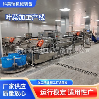 葉菜加工產(chǎn)線 大型凈菜加工廚房機(jī)械根莖/鮮切菜二合一清洗線