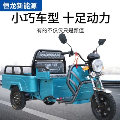 新款小型電動(dòng)三輪車家用拉貨農(nóng)用載貨三輪國(guó)標(biāo)可上牌貨運(yùn)小平板車
